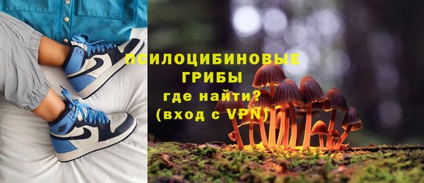 мяу мяу мука Алзамай