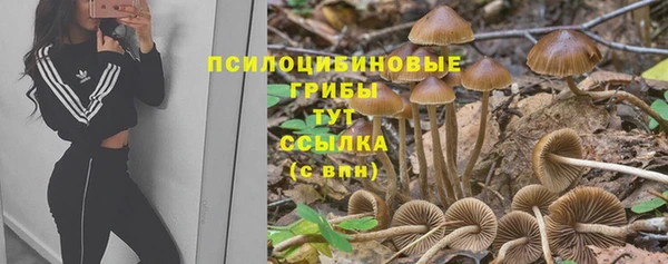 ALPHA-PVP Армянск